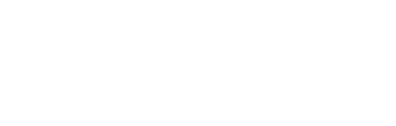 EnFin logo